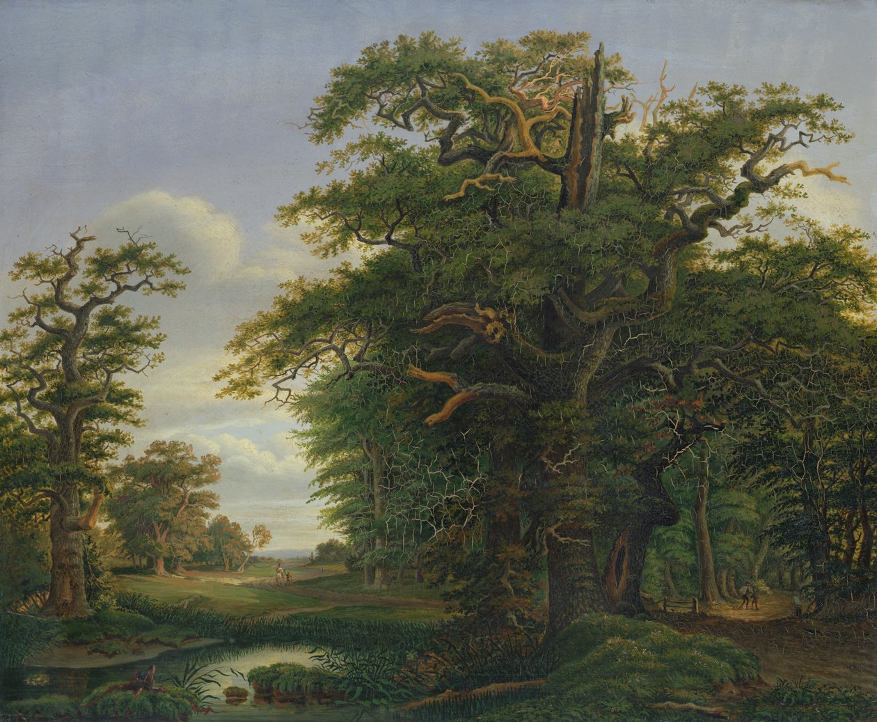 Ekträ, 1847 av David Christopher Mettlerkamp