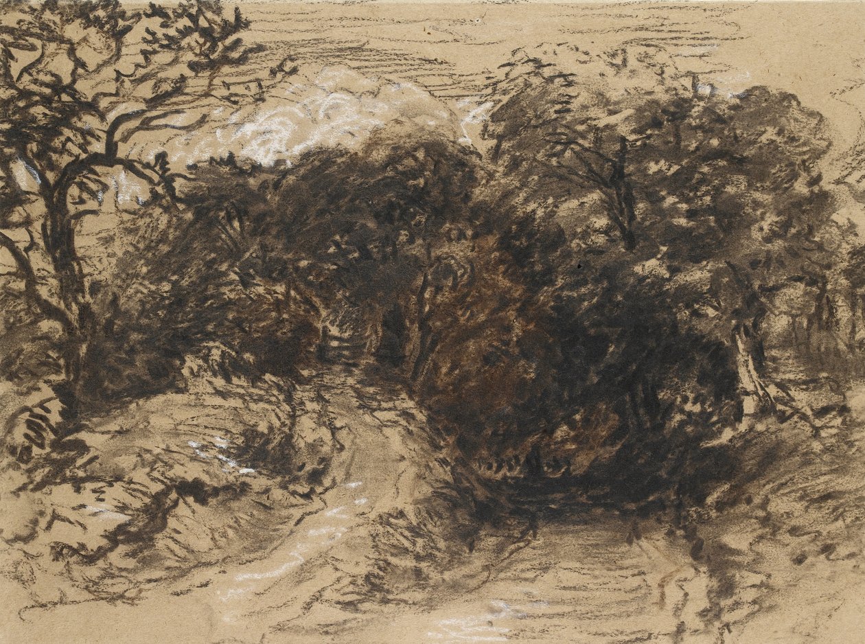 En ihålig körfält nära Harborne, Derbyshire (svart krita med inslag av vitt och lite brunt tvätt) av David Cox