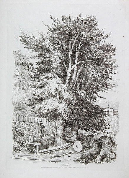 Bok nr. 18, illustration från Progressive Lessons on Landscape for Young Beginners, 1816 (mjuk markets etsning) av David Cox