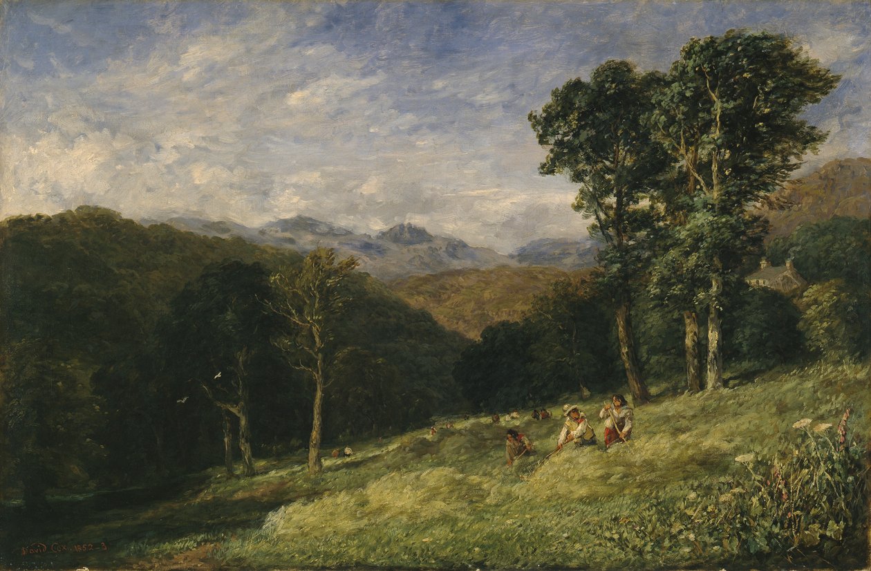 Höslagning nära Conway av David Cox