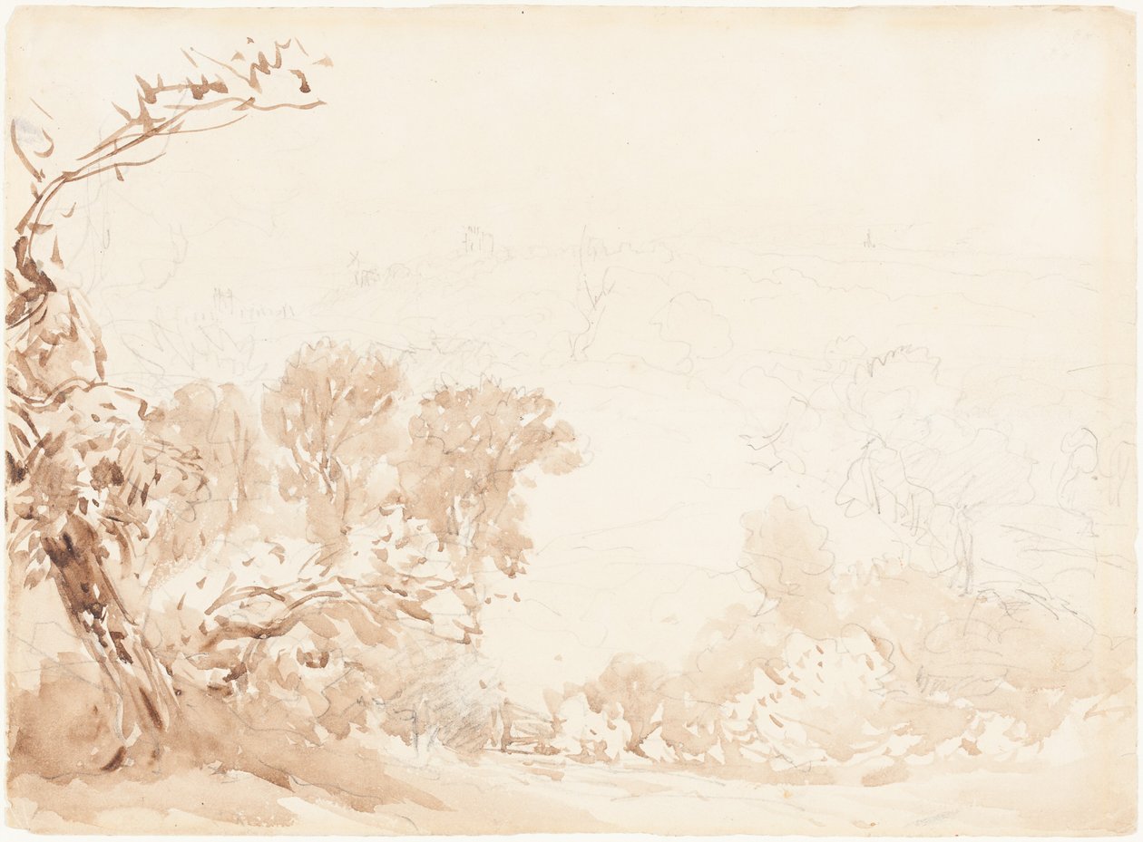 Sluttning och träd av David Cox
