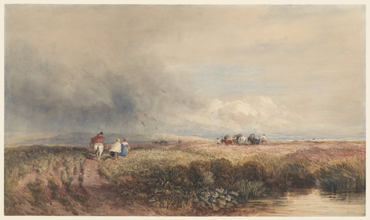 Resan hem av David Cox