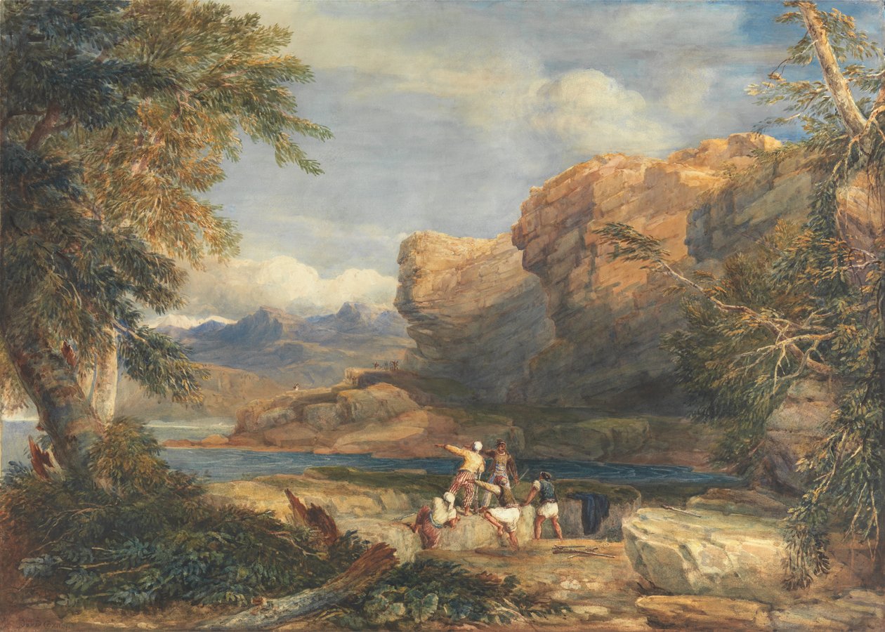 Piraternas ö av David Cox