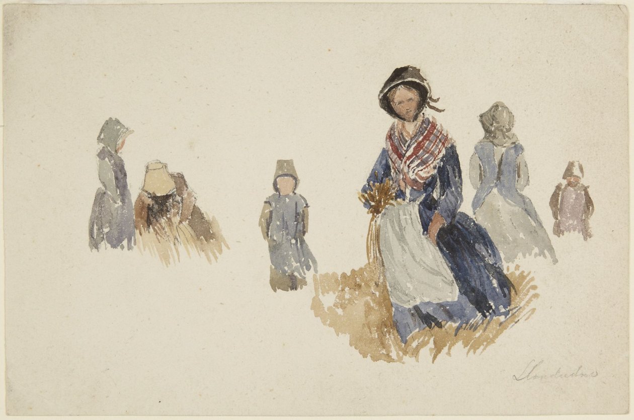 Studier av kvinnor av David Cox