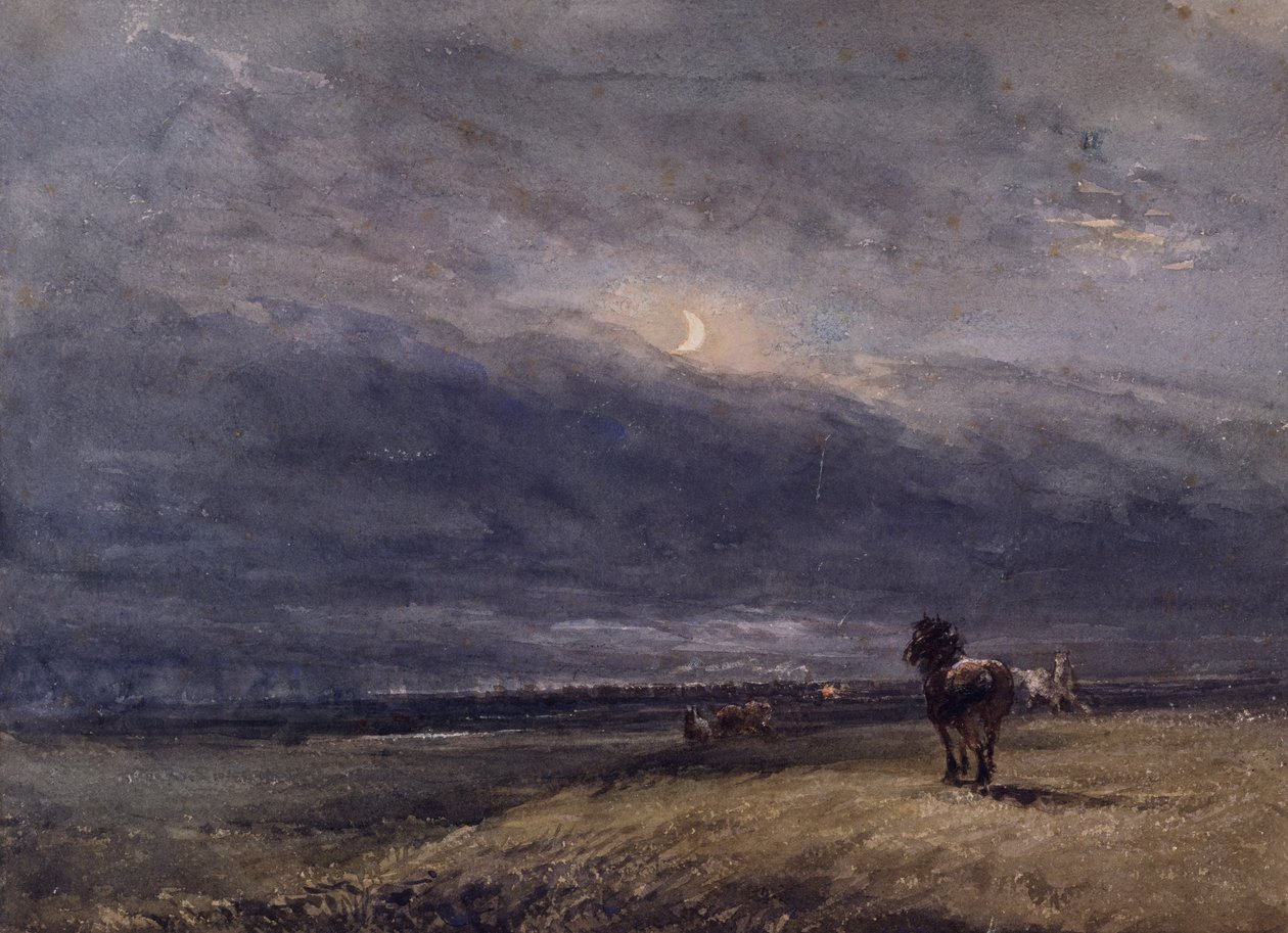Nattåget av David Cox