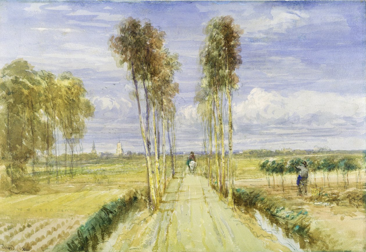 Poplar Avenue (akvarell över penna och svart krita på papper) av David Cox