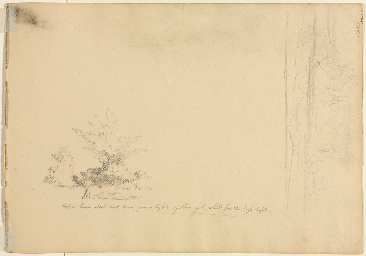 Landskaps- och trädstudier verso, c. 1851. av David Johnson