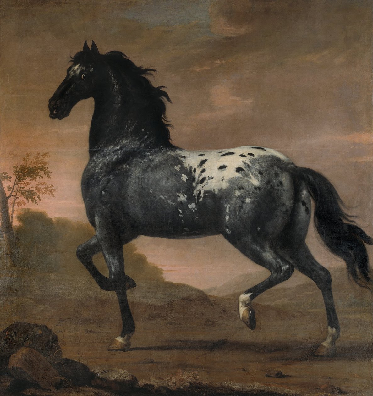 Charles XI’s Horse Blå Tigern, 1673 av David Klöcker Ehrenstrahl