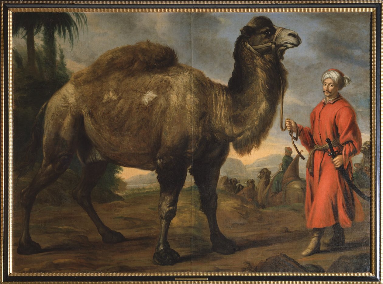 Kamel med förare av David Klöcker Ehrenstrahl
