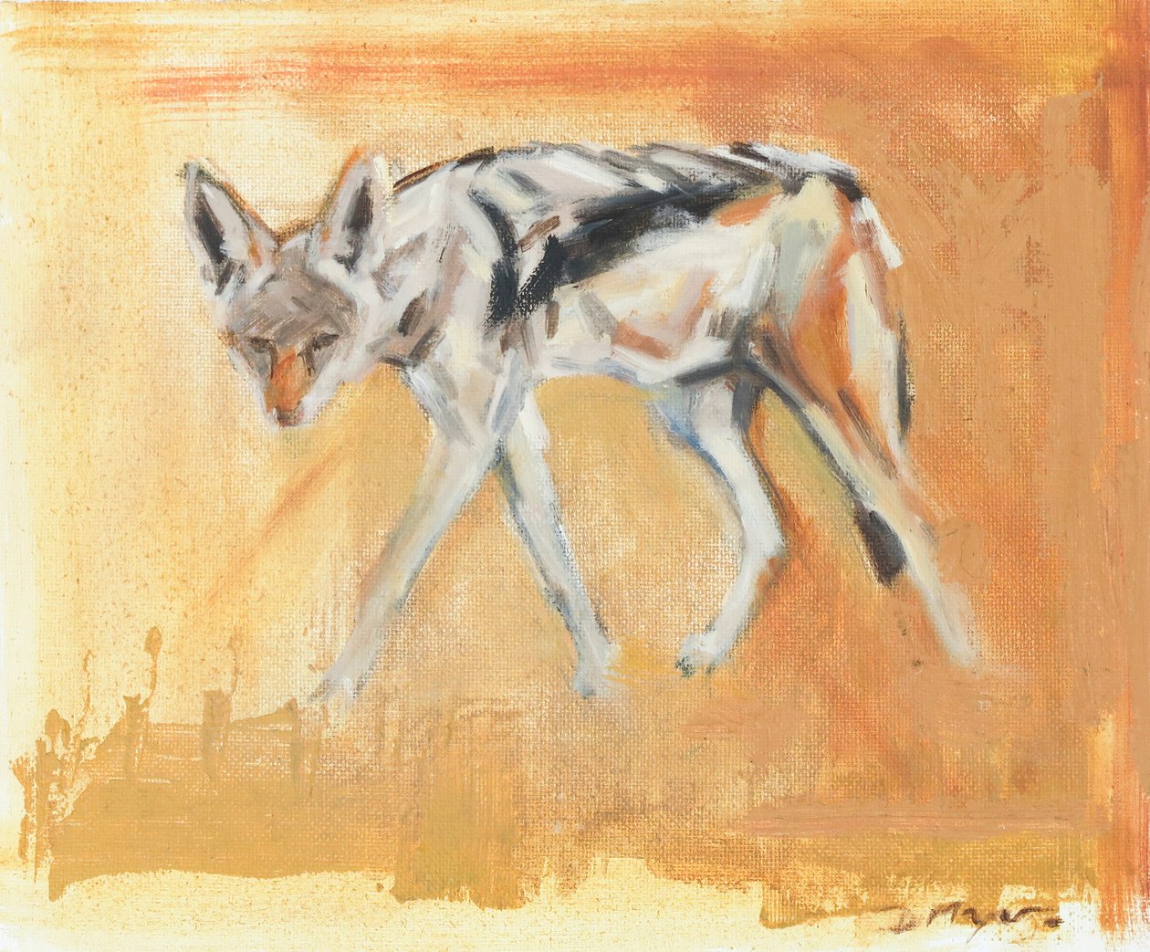 Black Backed Jackal, 2021 (olja på duk) av David Mayer