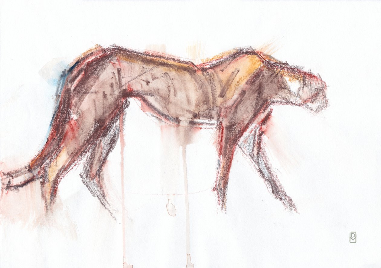 Gepardjakt, 2019 (krita/akvarell på papper) av David Mayer