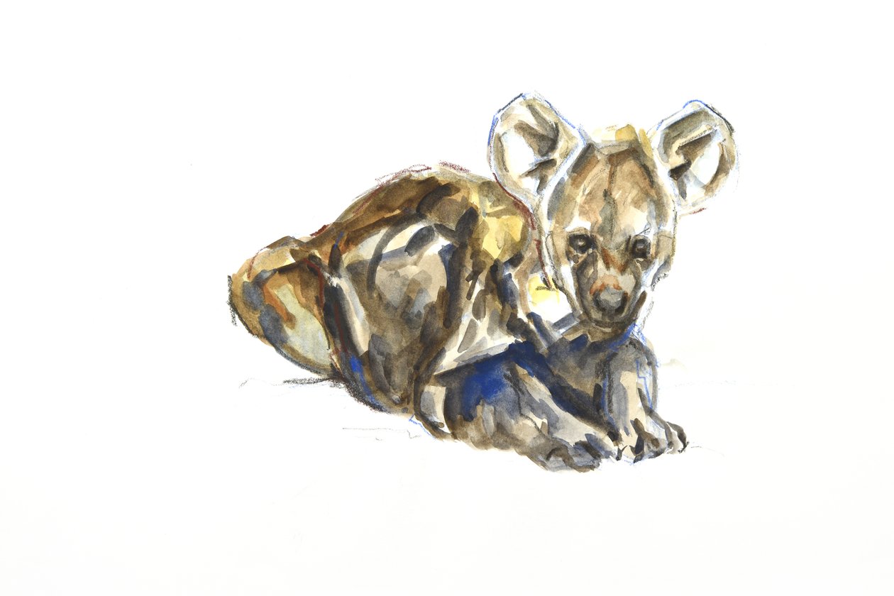 Hyenvalp, 2020 (akvarell, krita och gouache på papper) av David Mayer