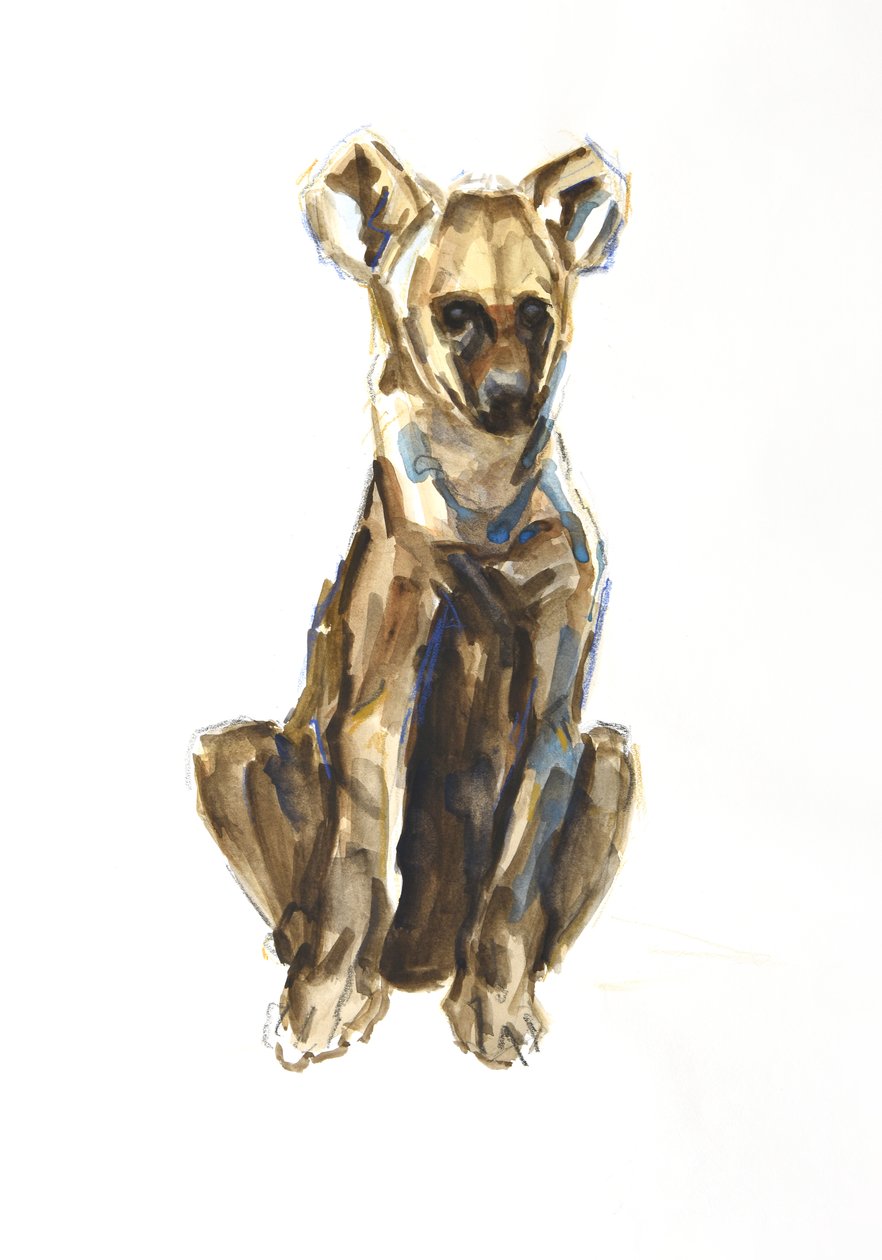Hyenvalp, 2020 (akvarell, krita och gouache på papper) av David Mayer