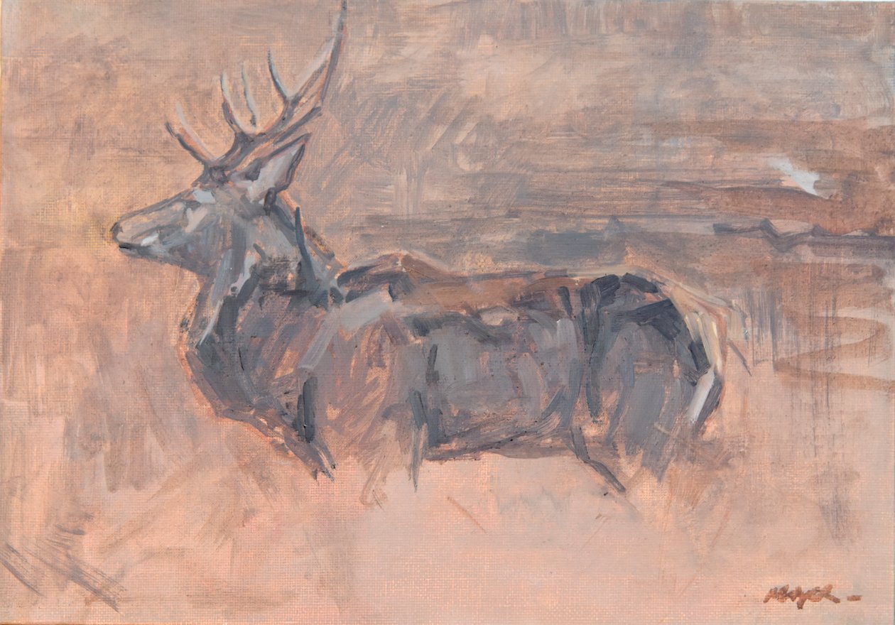 Red Deer Stag, 2023 (olja på duk) av David Mayer