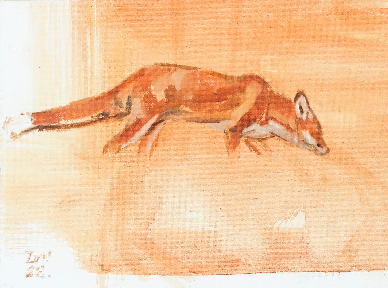 Red Fox, 2022 (olja på duk) av David Mayer