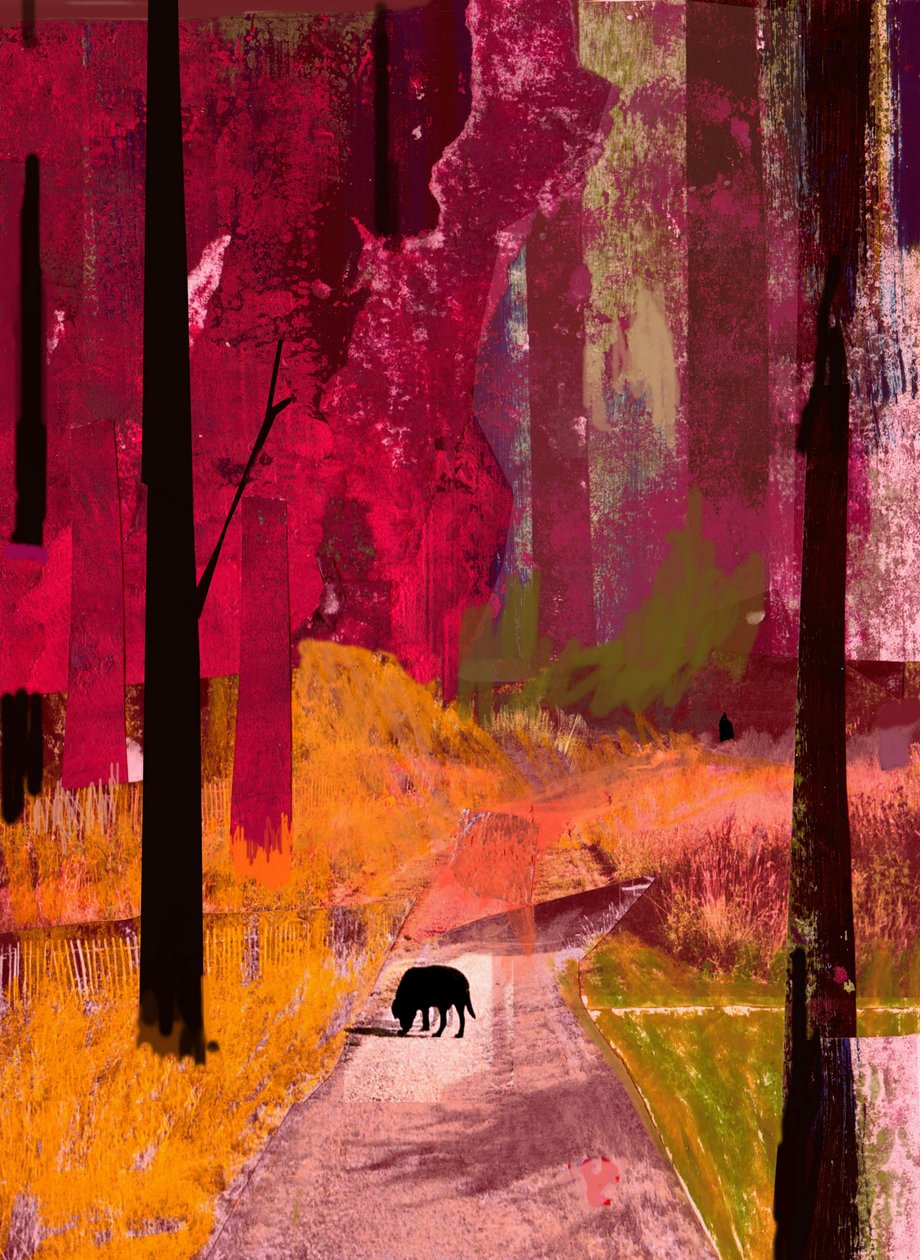 Svart hund, 2013, Collage på papper av David McConochie