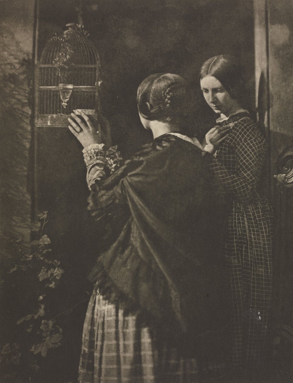 Kameraarbete: Fågelburen av David Octavius Hill