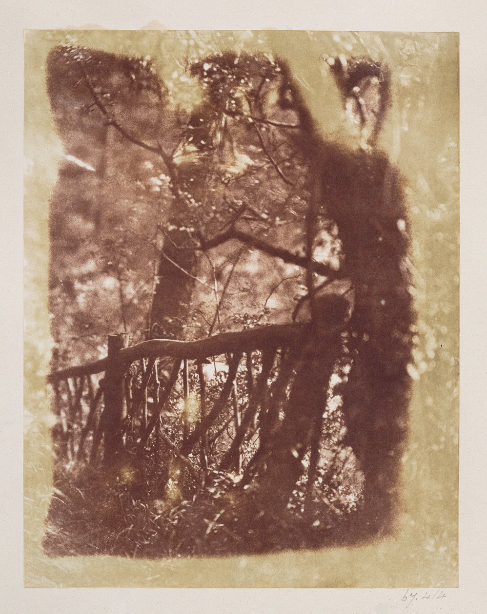 Staket och träd i Colinton Wood (saltpapperskopia från kalotypsnegativ) av David Octavius Hill