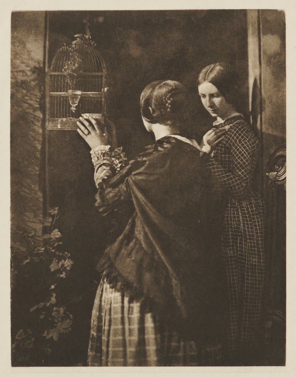 Fågelburen av David Octavius Hill