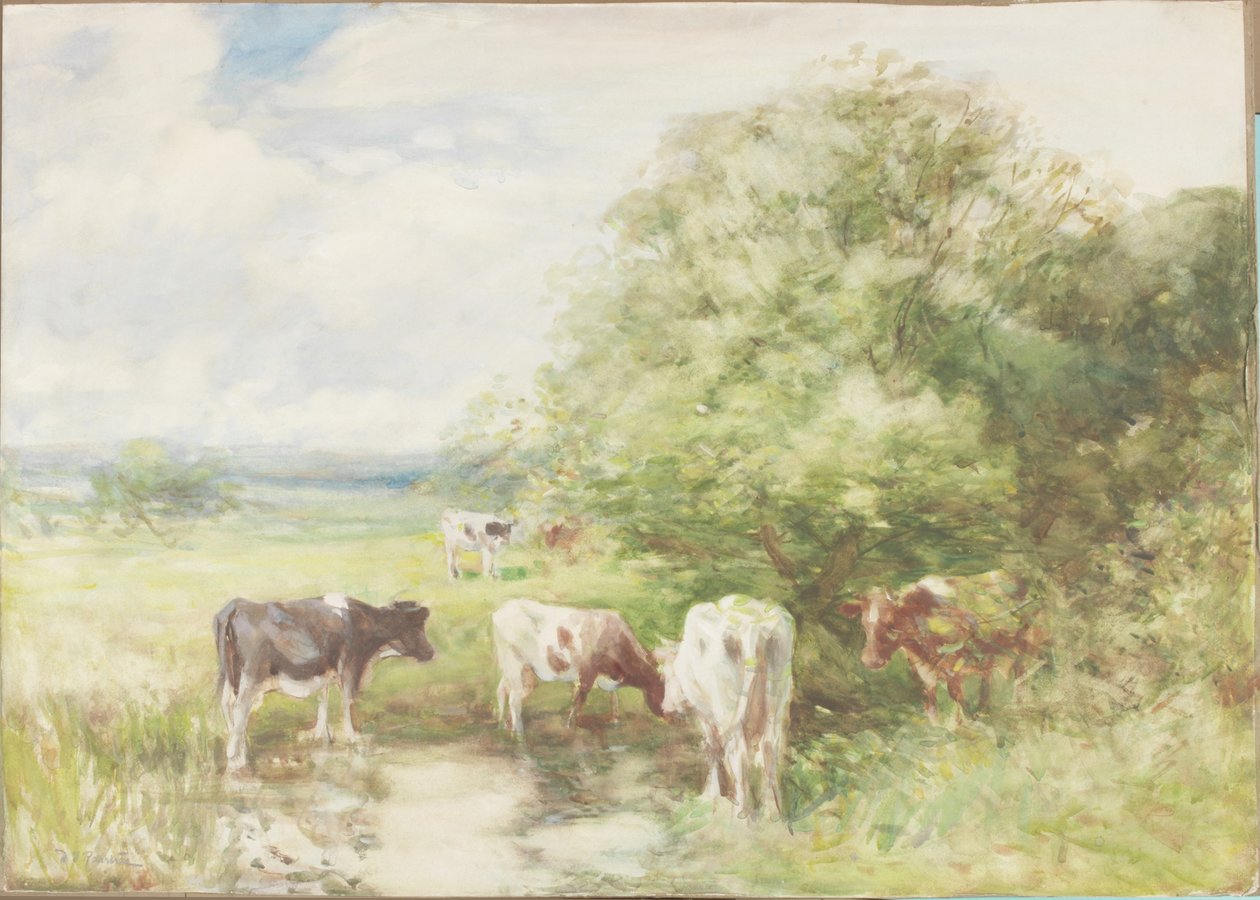 The Shady Pool (akvarell på papper på kort) av David T. Robertson