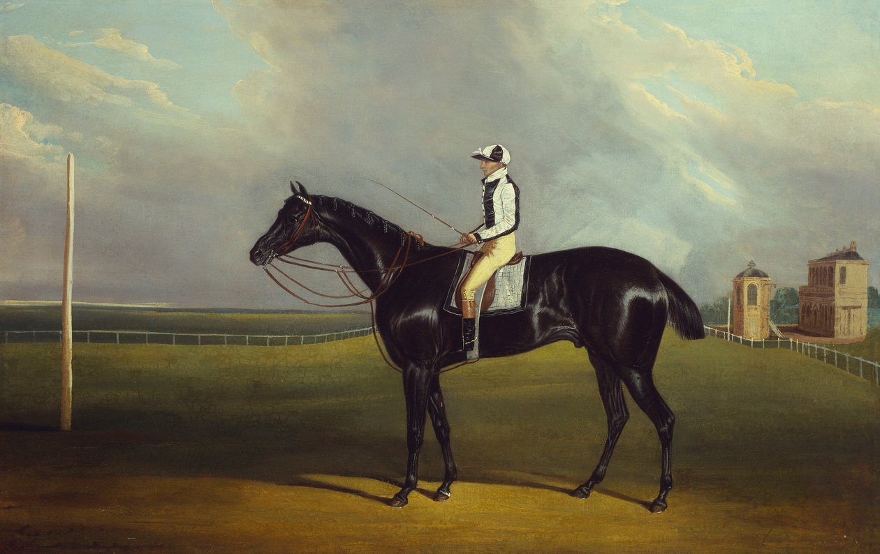 Mr R.O. Gascoignes "Jerry" med B. Smith uppe på Doncaster Racecourse av David of York Dalby