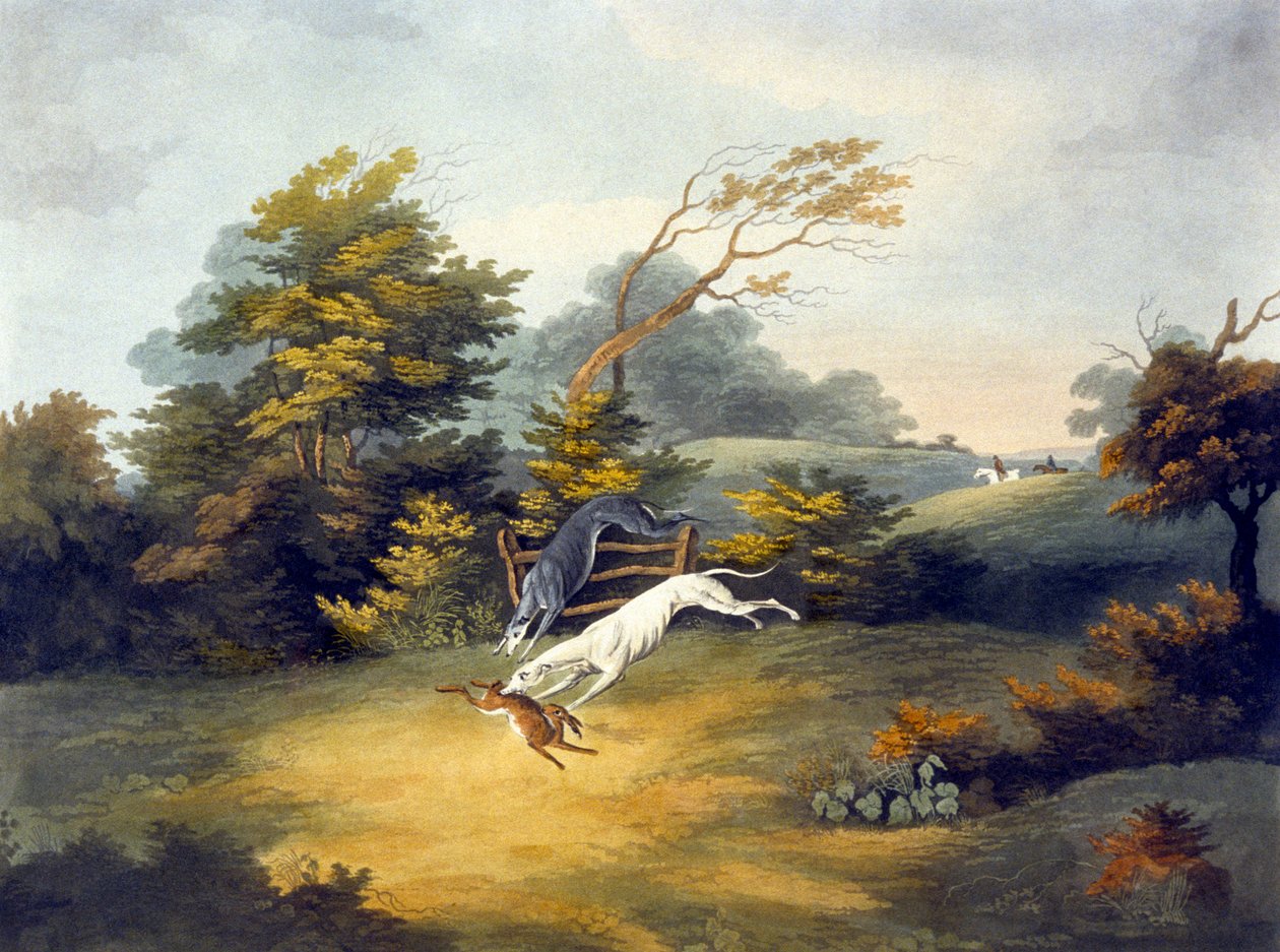 Coursing, plåt 4, graverad av R.G. Fogde av Dean Snr. (after) Wolstenholme