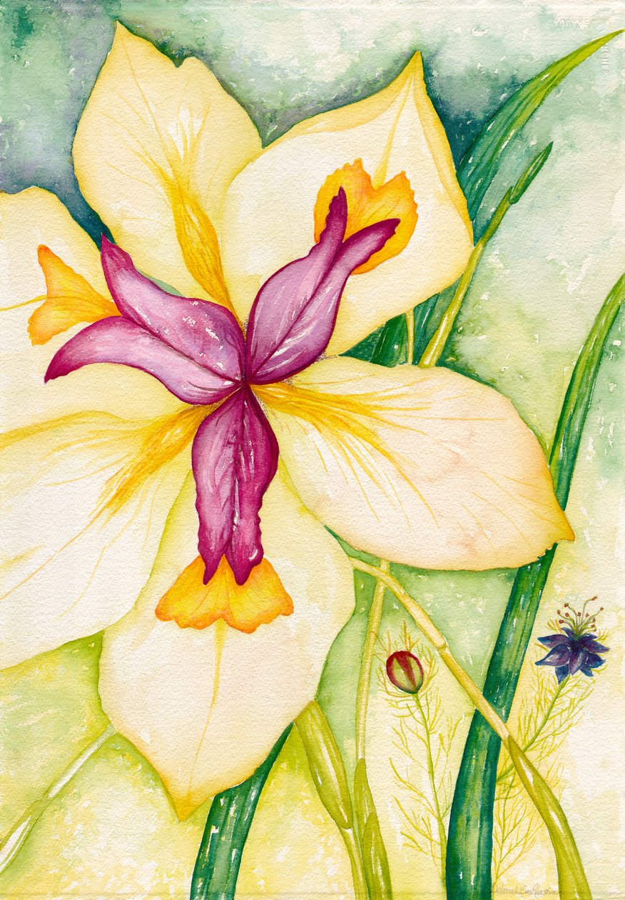 Lily och vänner, 2007 (akvarell) av Deborah Eve Alastra