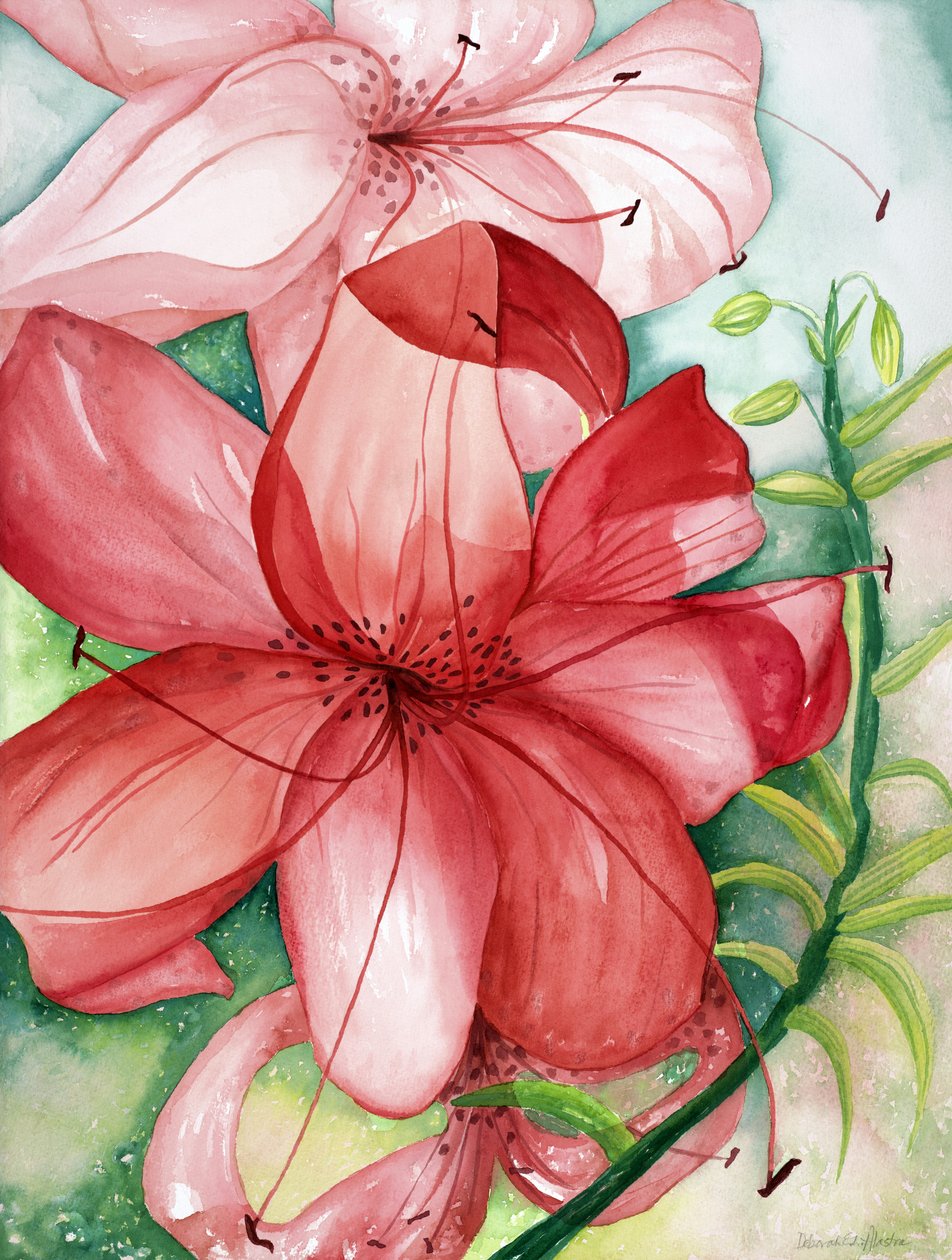 Tigerlily, 2007 (akvarell) av Deborah Eve Alastra