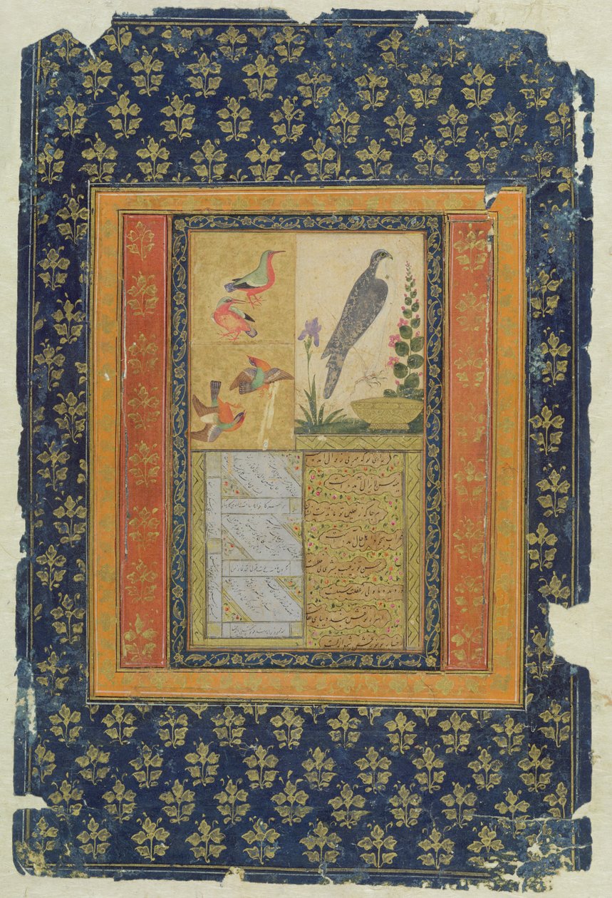 Fågelstudie och kalligrafi, Golconda, Andhra Pradesh, 1570, (gouache, bläck och guld på papper med dekorerad kant) av Deccani School