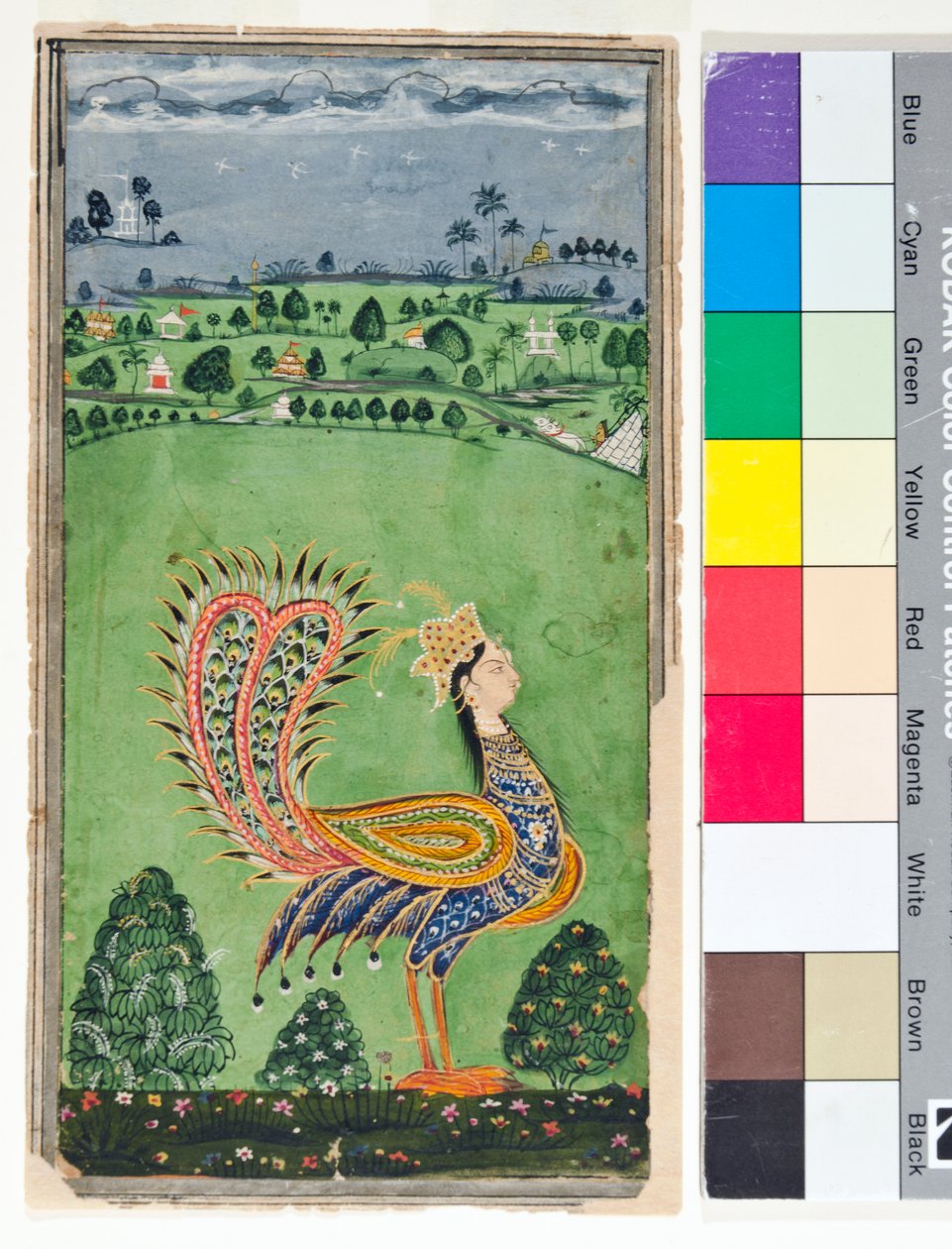 Mytisk påfågel med ett kvinnohuvud, ca 1750 (ogenomskinlig w/c och guld på papper) av Deccani School