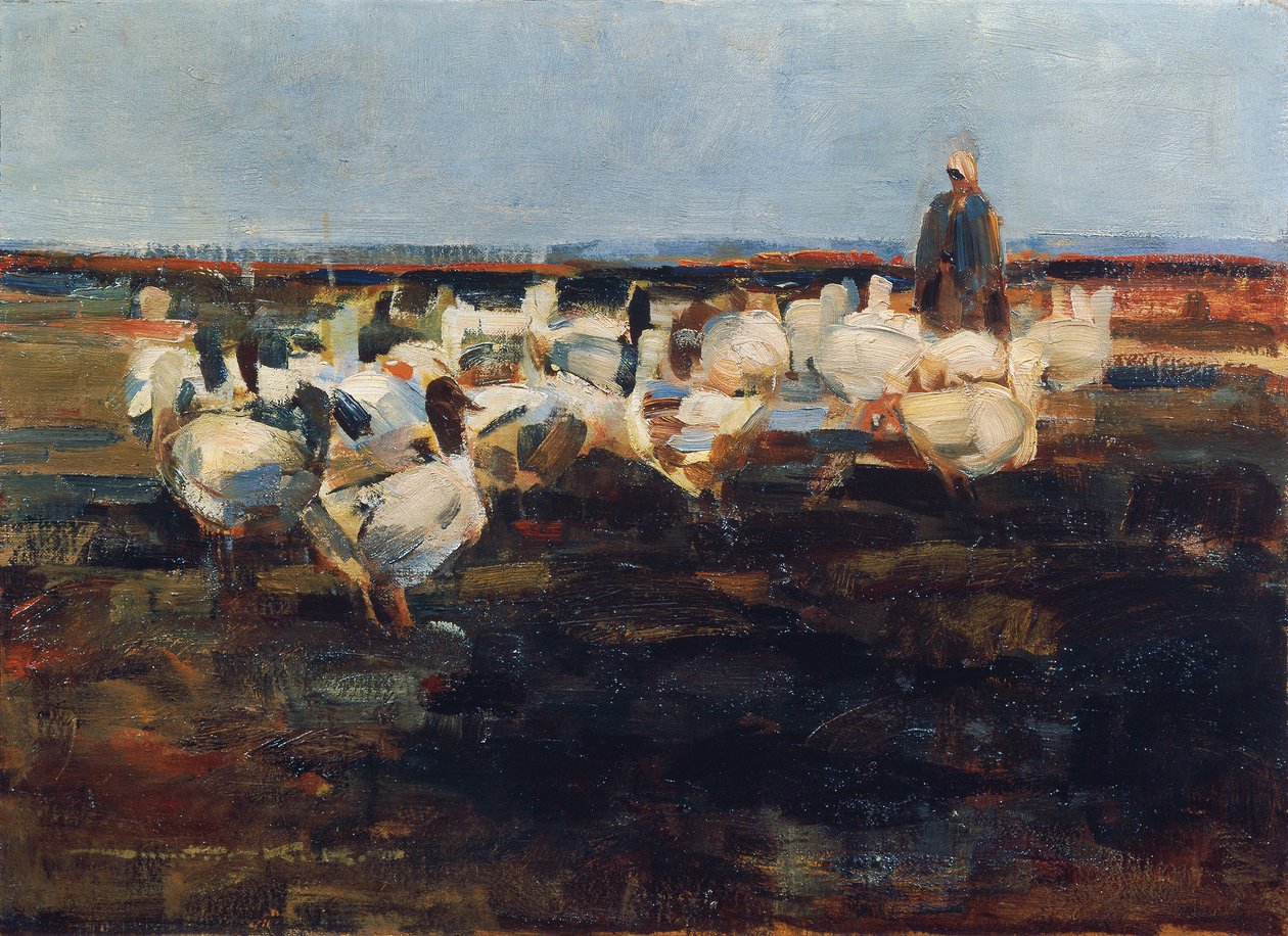 Flock gäss på hagen av Demeter Koko
