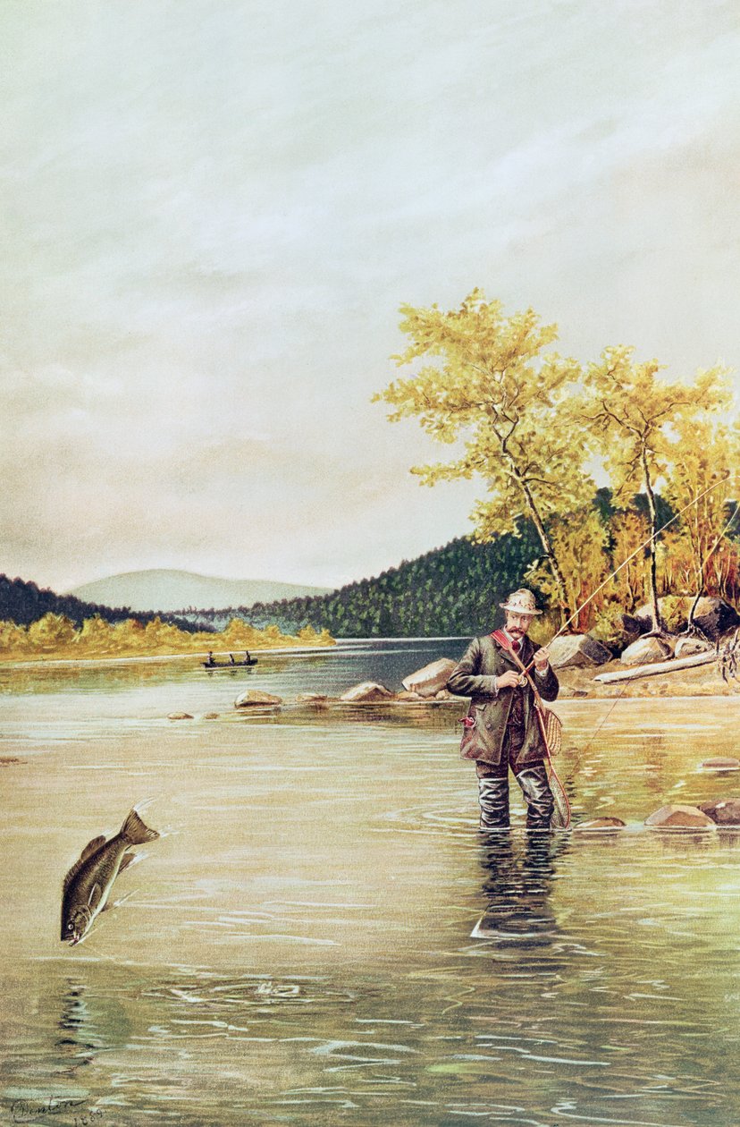 Ørredfisker, 1889 swed av Denton