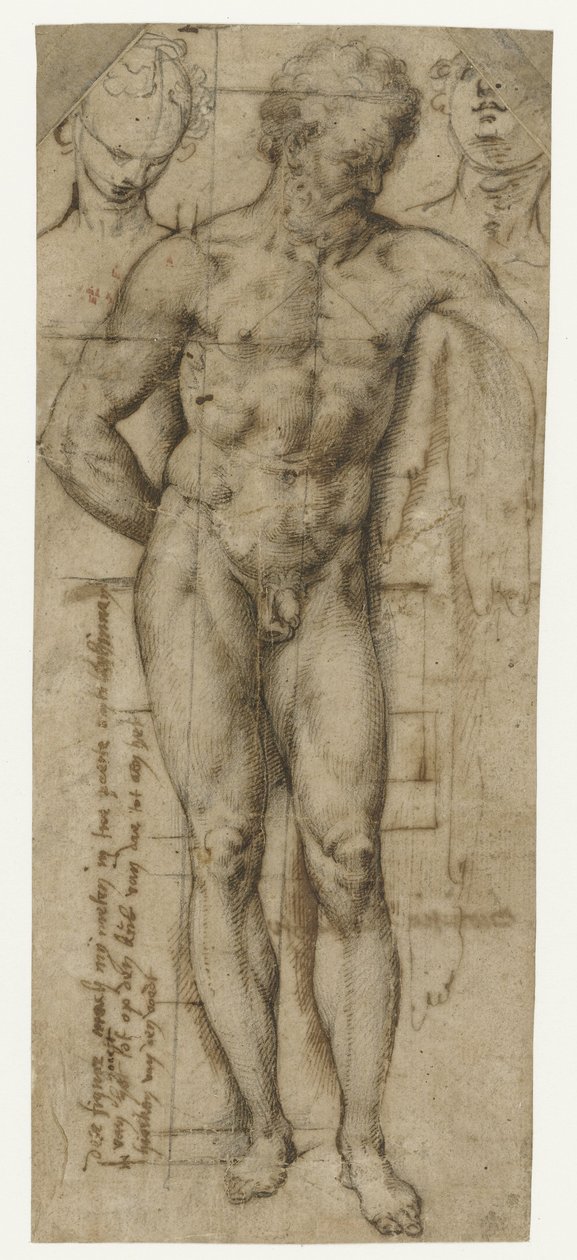 Studie av en naken man (Hercules?) och två kvinnors huvuden av Denys Calvaert