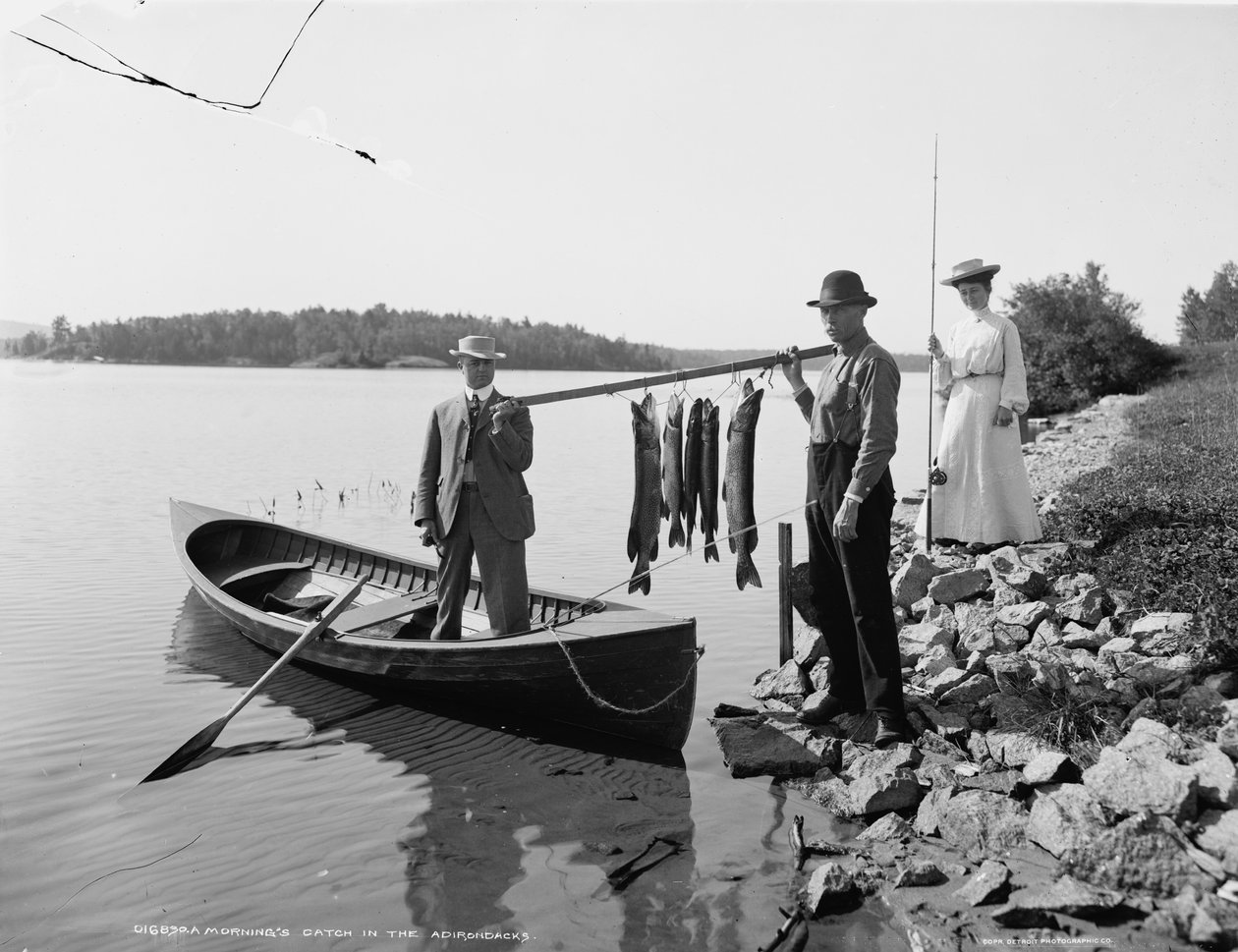En morgons fångst i Adirondacks, ca 1903 av Detroit Publishing Co.