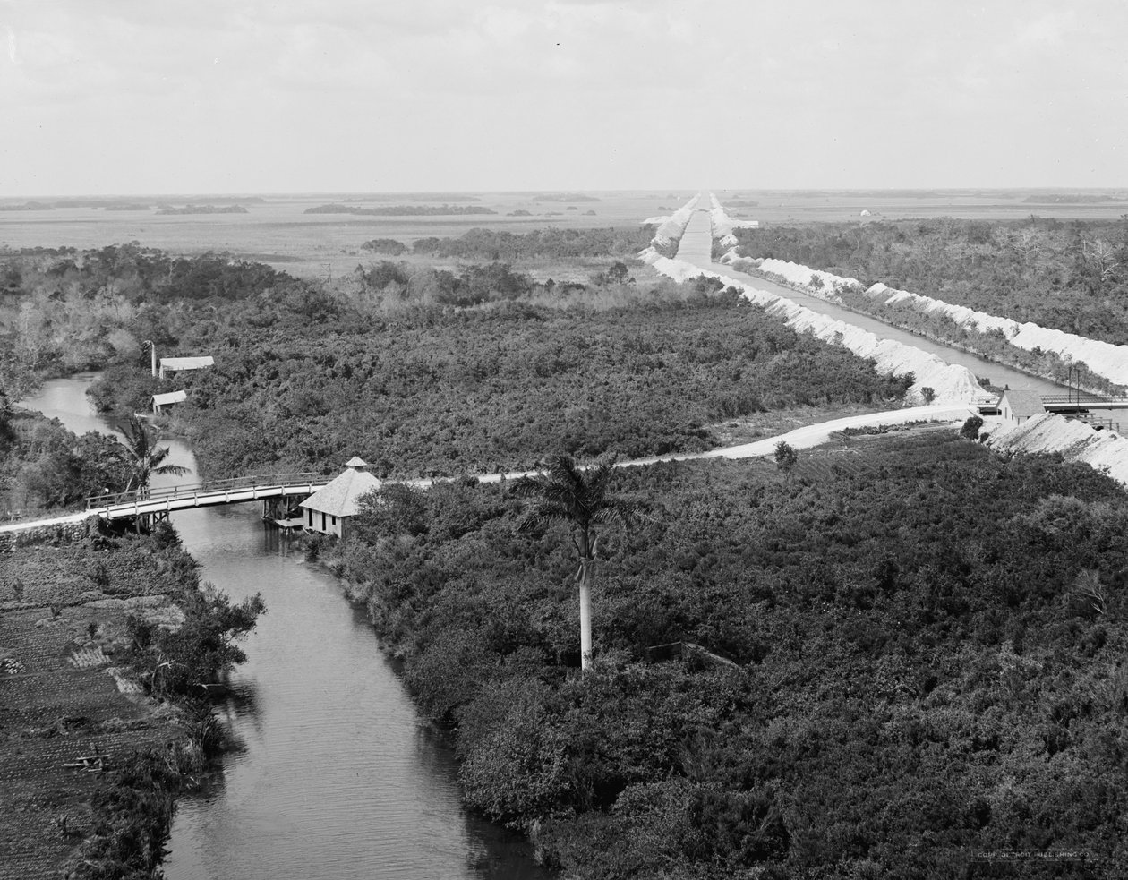Dräneringskanalen och Everglades, Miami, Florida, c.1910-20 av Detroit Publishing Co.
