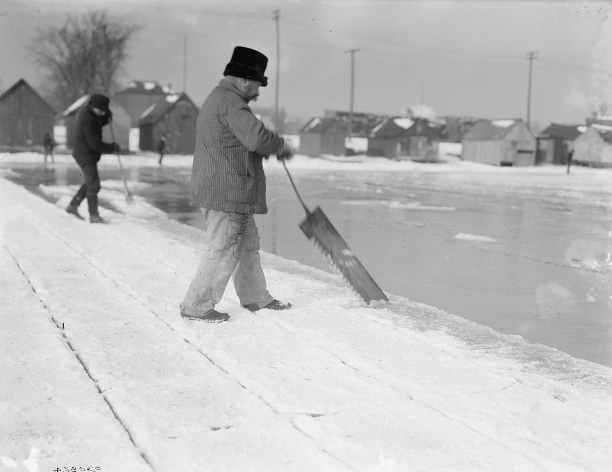 Isskörd, sågning, ca 1900-10 av Detroit Publishing Co.