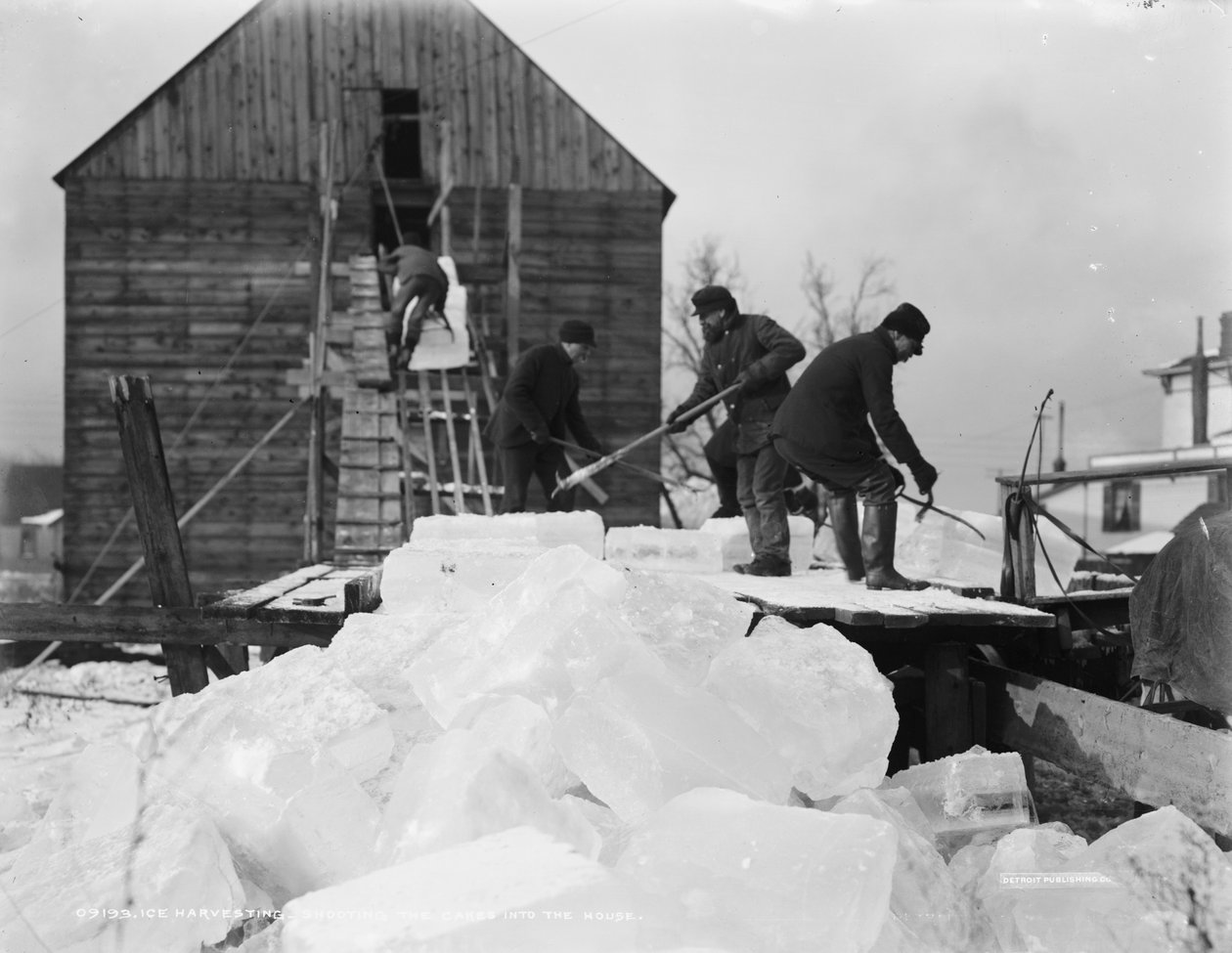 Isskörd, skjuta in kakorna i huset, c.1903 av Detroit Publishing Co.
