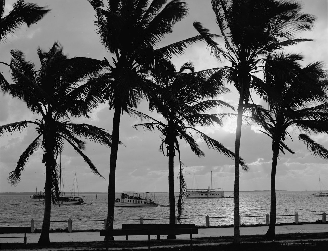 Solnedgång, Biscayne Bay, Miami, Florida, ca 1910-20 av Detroit Publishing Co.