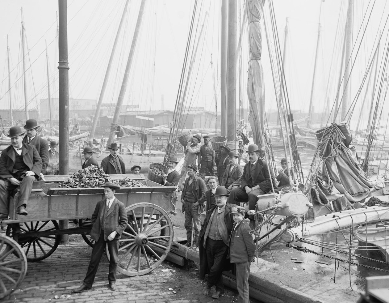 Lossar oyster luggers, Baltimore, Maryland, 1905 av Detroit Publishing Co.