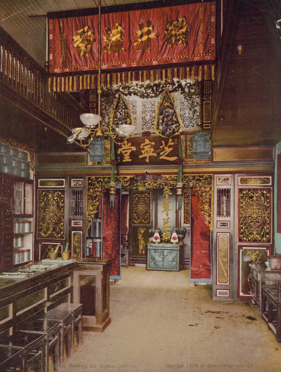 Kinesiskt apotek, Los Angeles, Kalifornien, 1899 av Detroit Photographic Co.