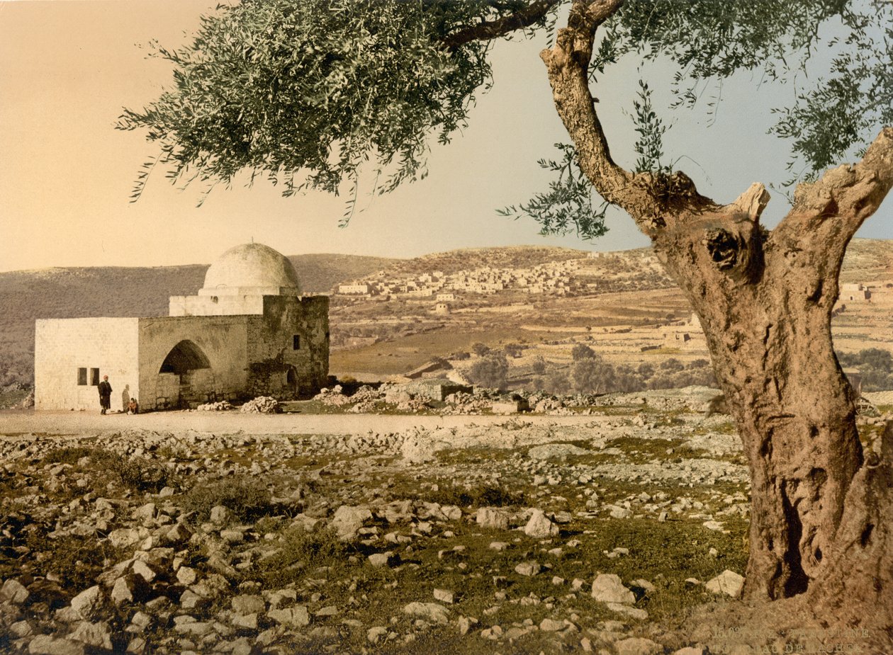 Rakels grav, Jerusalem, Heliga landet, c.1890-c.1900 (fotokromtryck) av Detroit Photographic Co.