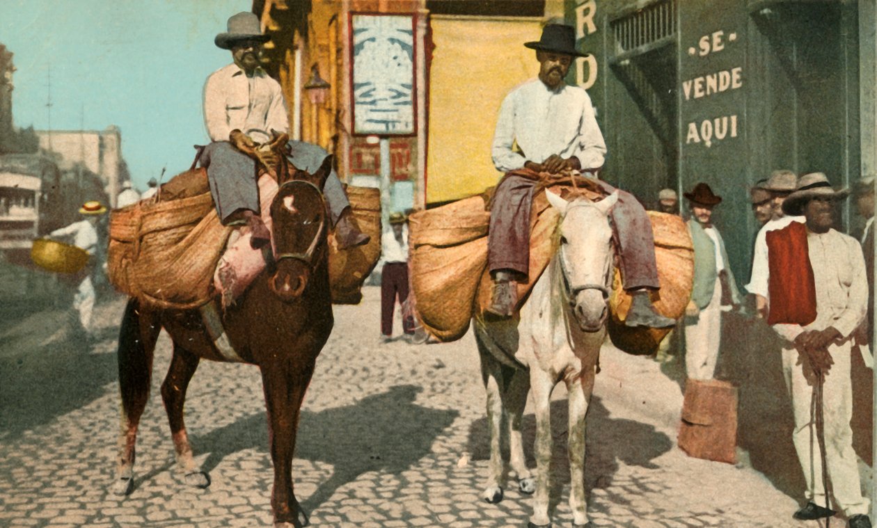 Grönsaksmän, Havanna, Kuba, 1904. av Detroit Photographic Company