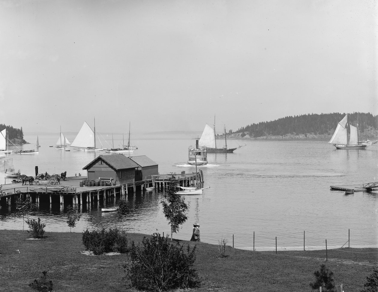 Bar Harbor, Mt. Desert Island, Maine, hamnen från Newport House, ca 1901 av Detroit Publishing Co.