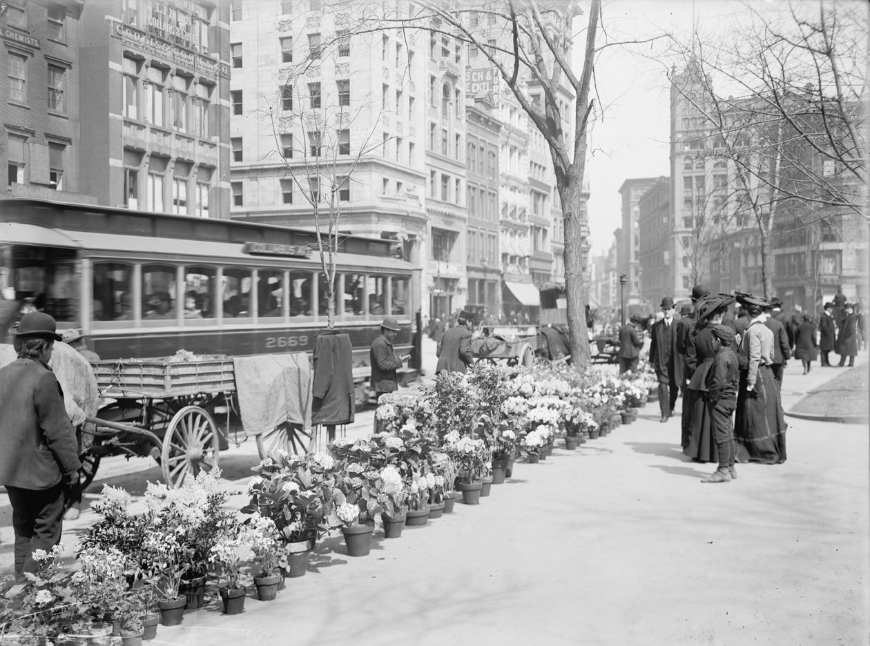 Blomsterförsäljare, påskvisning, New York City, USA, ca 1904 av Detroit Publishing Co.