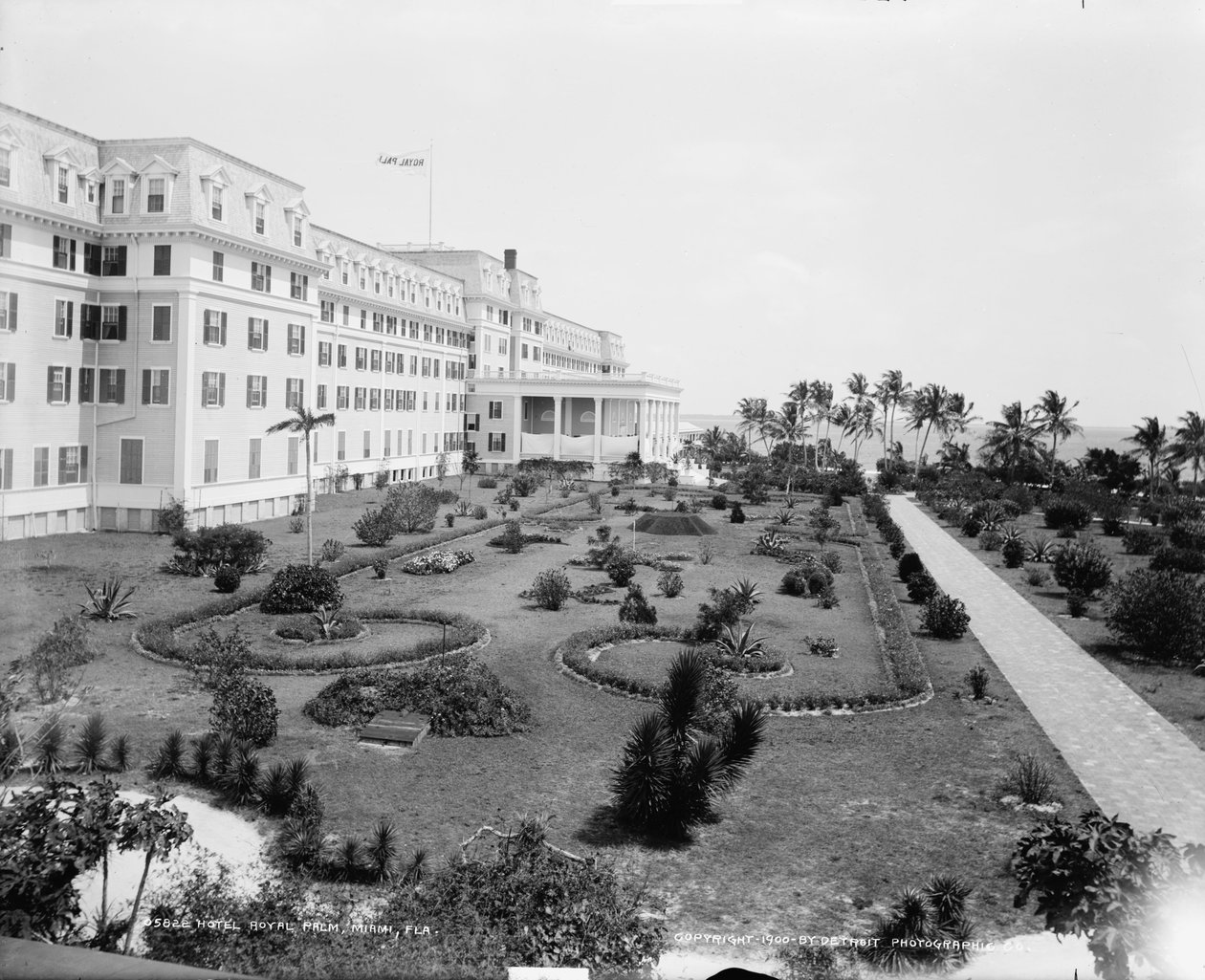 Hotel Royal Palm, Miami, Florida, ca 1900 av Detroit Publishing Co.