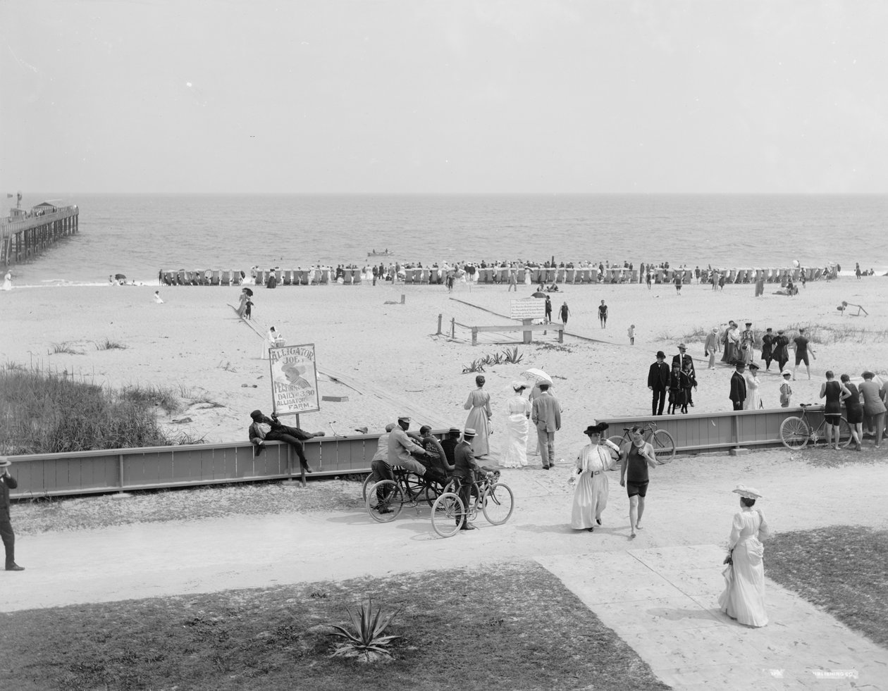 Palm Beach, Florida, ca 1905 (s/v foto) av Detroit Publishing Co.