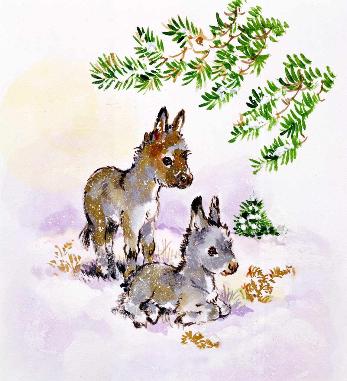 Åsnor av Diane Matthes