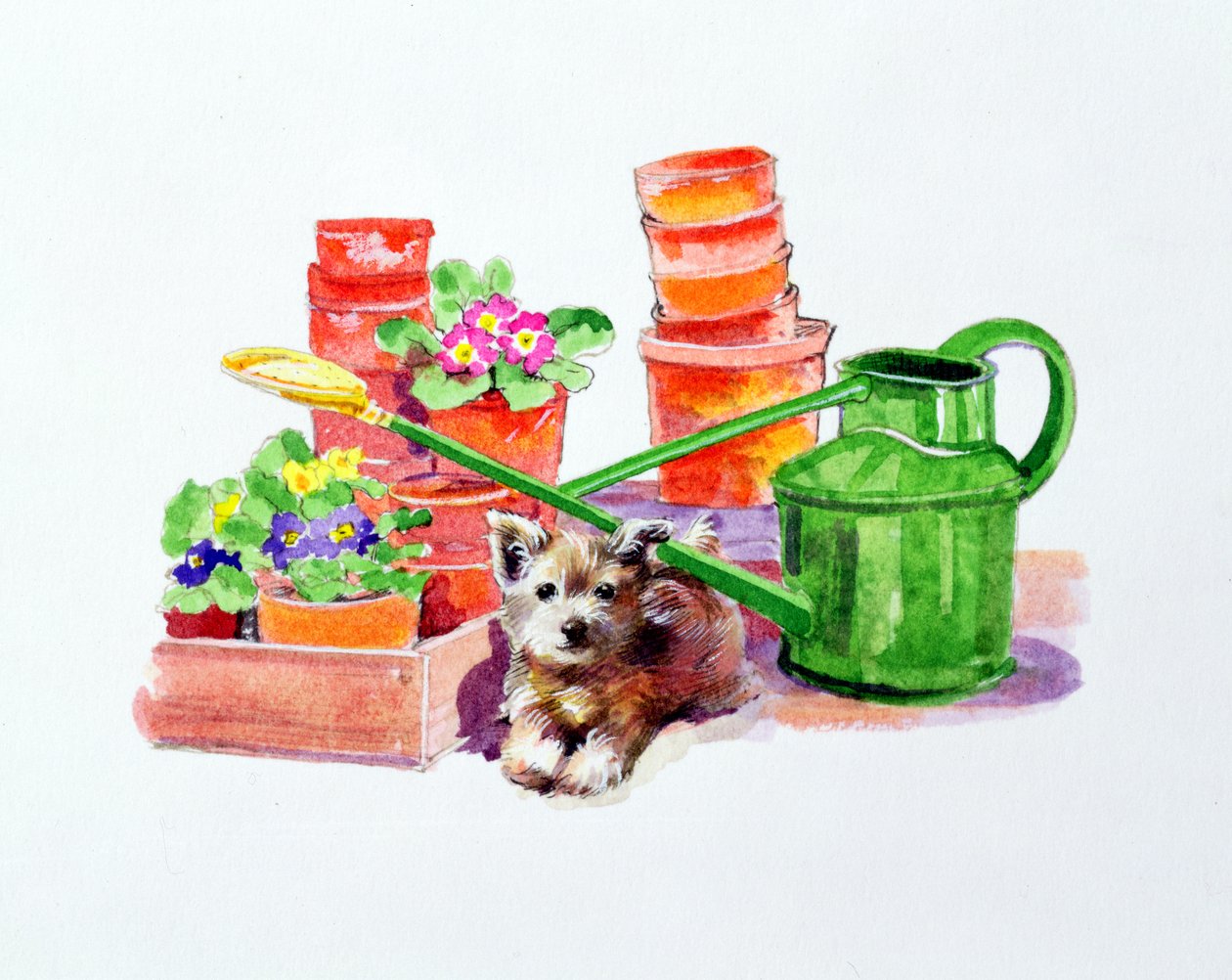 Terrier bland terrakottakrukor av Diane Matthes