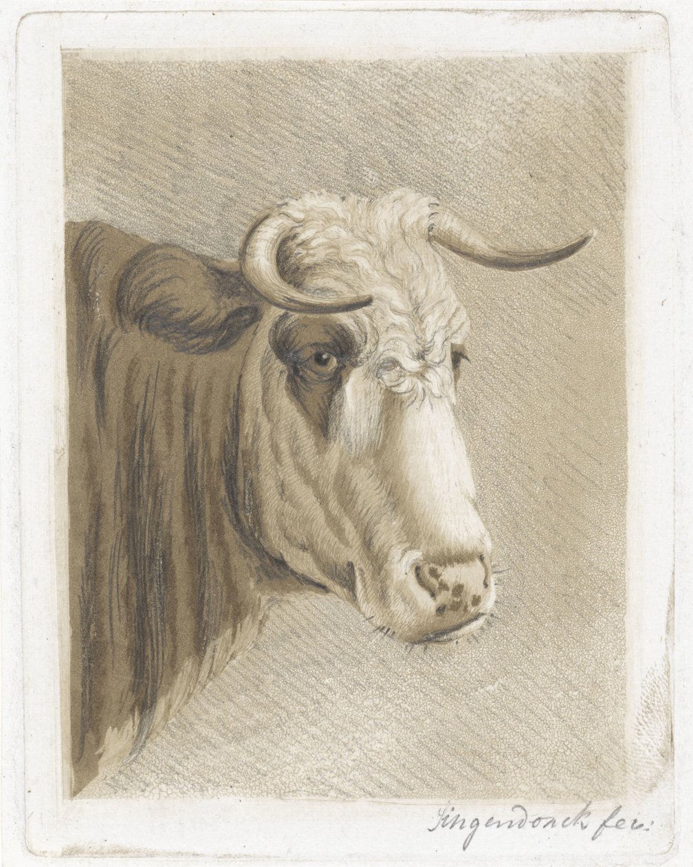 kakkopp av Diederik Jan Singendonck (signed by artist)