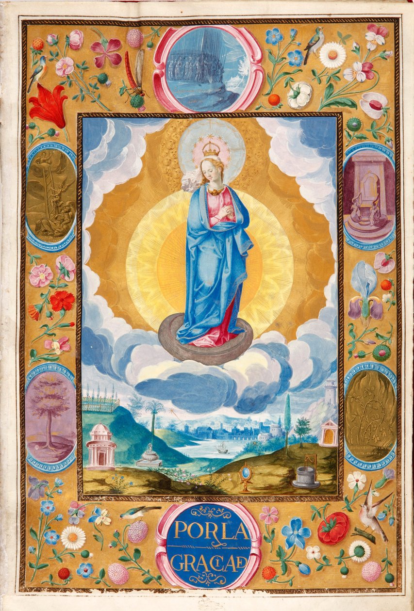 Immacule Conception i verkställbar ridderskapsstadga av Arias Pardo de Cela av Diego Gómez